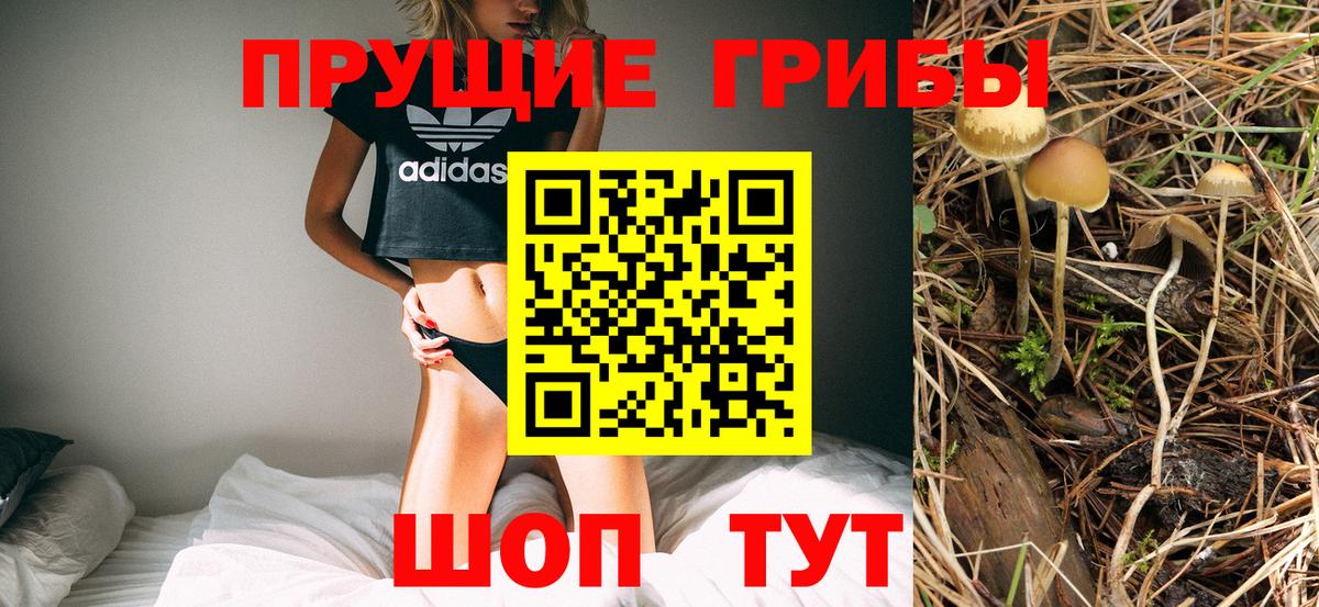Уварово  Галлюциногенные грибы мухоморы  Псилоцибиновые грибы прущие грибы  Вход с VPN 